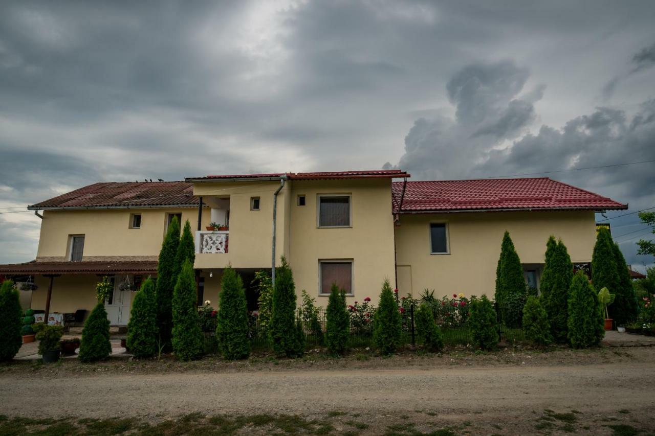 Pensiunea Elena Tasnád Kültér fotó